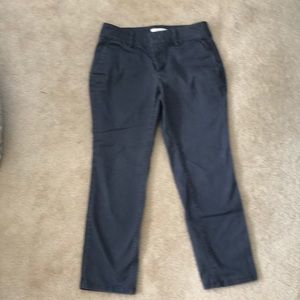 Loft Ankle Length Pant